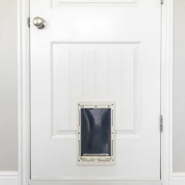 Cost of Pet Door Repair in Denver